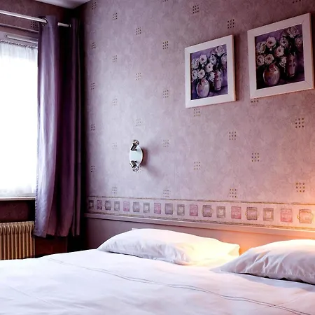 Hotel Hotel Restaurant Le Coquelicot Burnhaupt-le-Haut