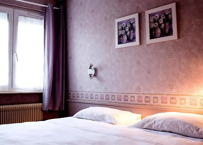 Hotel Restaurant Le Coquelicot Burnhaupt-le-Haut